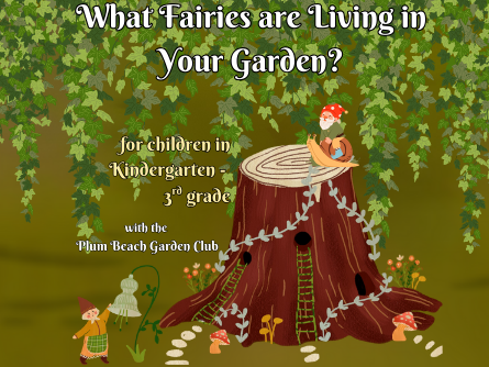 fairy garden
